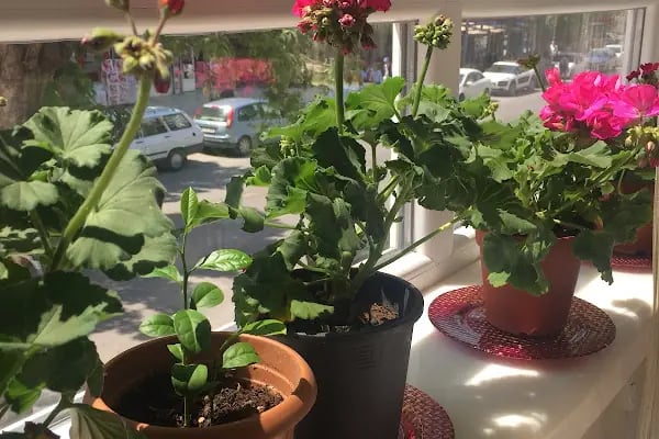 YASEMİN ASLIM Diş Hekimi - Resim 10