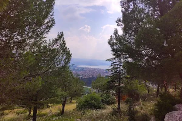 Abdulvahap Sancaktar Türbesi - Resim 20