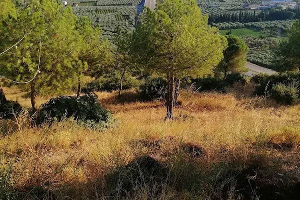Abdulvahap Sancaktar Türbesi - Resim 18