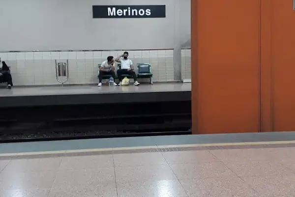 Merinos - Resim 6