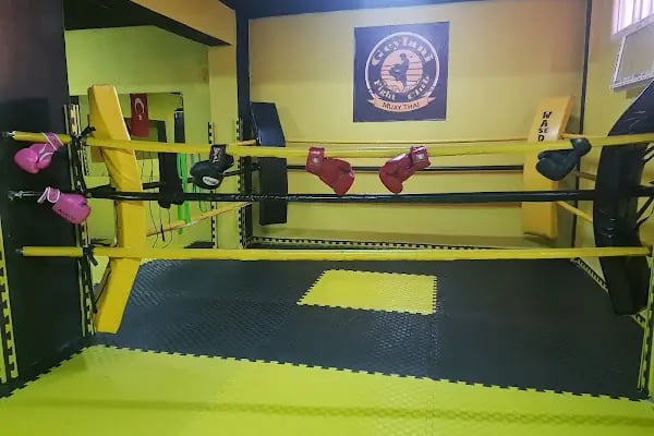 Geylani spor kulübü - Resim 3