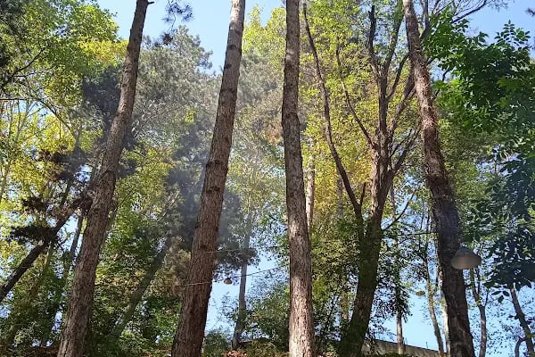 Bursa Büyükşehir Belediyesi Cerrah Parkı - Resim 12