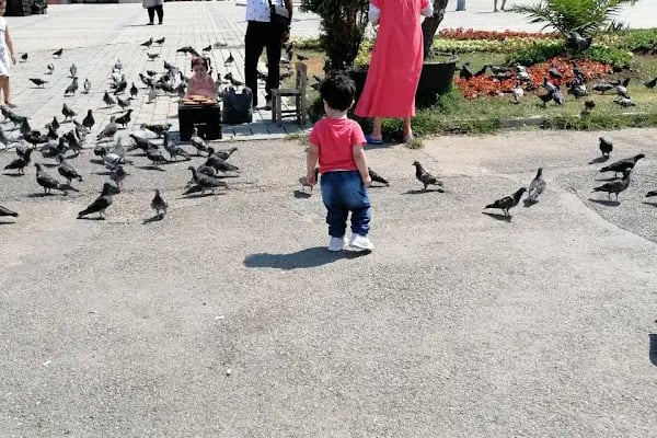 Atatürk Meydanı - Resim 3