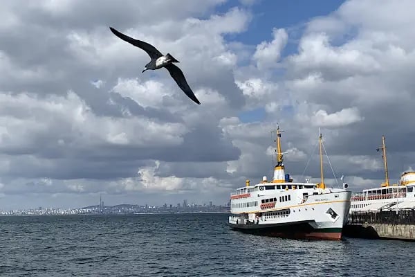Atatürk Meydanı - Resim 15