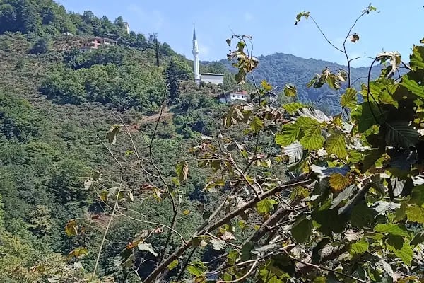 DÜRBİNAR MAHALLESI MERKEZ CAMİİ - Resim 10