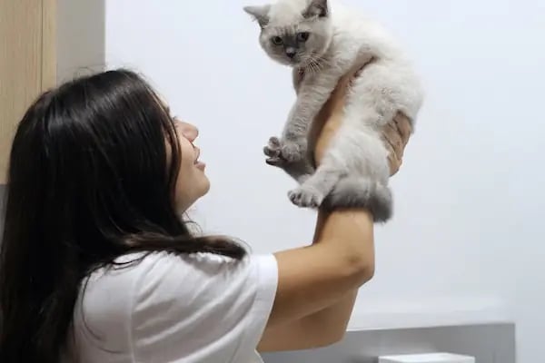 Adana Veteriner Kliniği - HEYPATİ - Resim 12