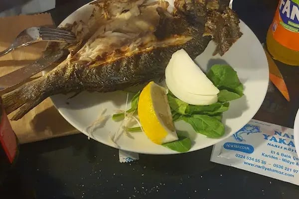 Narlı Yakamoz Et Mangal - Resim 18