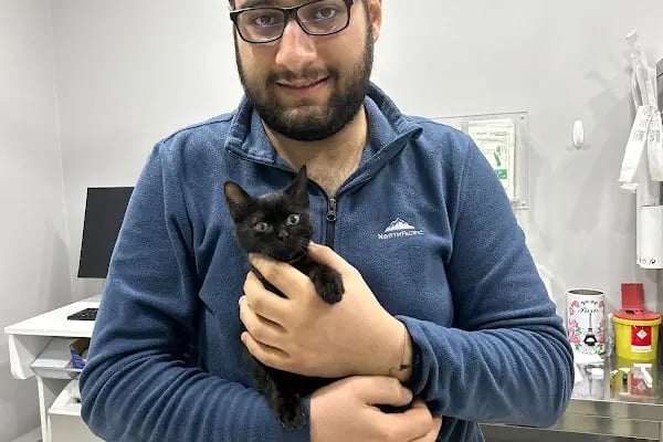 Ataköy Vetra Veteriner Kliniği - Resim 13