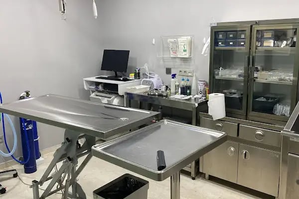 Ataköy Vetra Veteriner Kliniği - Resim 20