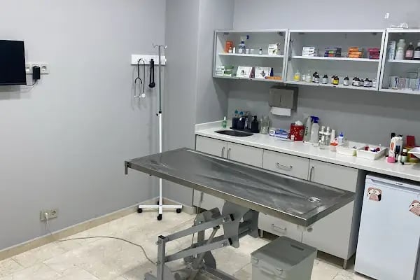 Ataköy Vetra Veteriner Kliniği - Resim 19