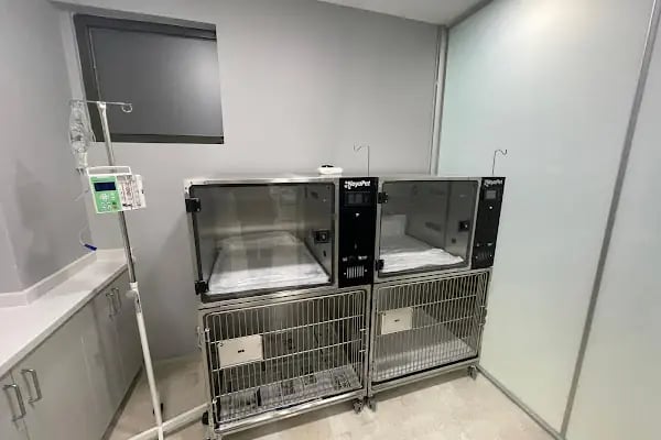 Ataköy Vetra Veteriner Kliniği - Resim 6