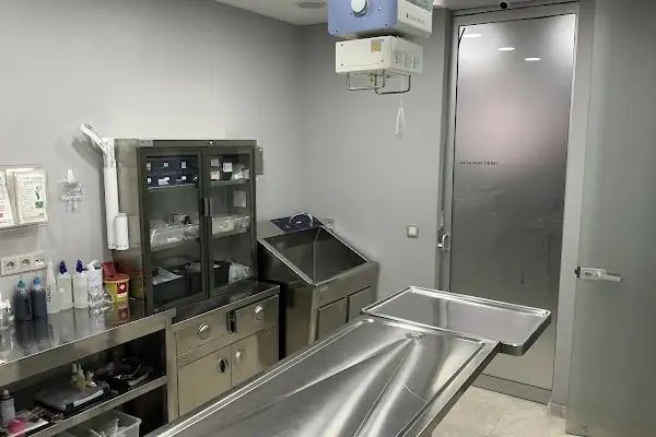 Ataköy Vetra Veteriner Kliniği - Resim 17