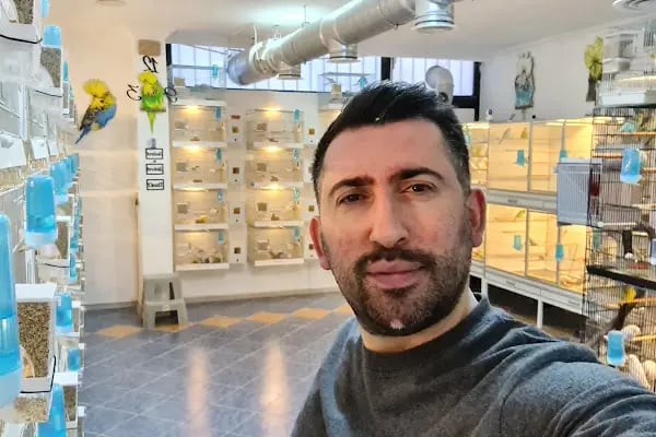 Sefa Erdoğan Show Jumbo Muhabbet Kuşu Üretimi ve Kuş Ürünleri / Sefa Erdoğan Youtube - Resim 15