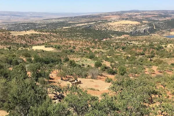 Beydilli Çakallı İlköğretim Okulu - Resim 5
