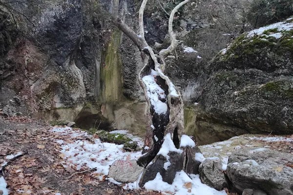 Şelale Çoban Çeşmesi - Resim 3