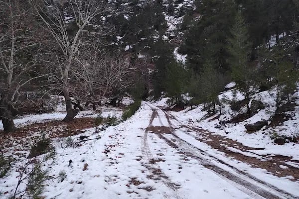 Şelale Çoban Çeşmesi - Resim 15