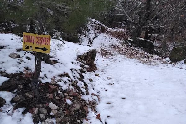 Şelale Çoban Çeşmesi - Resim 1