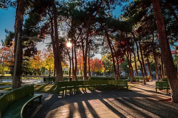 Gazi Üniversitesi - Resim 12