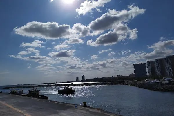Zeyport Liman İşletmeleri - Resim 7