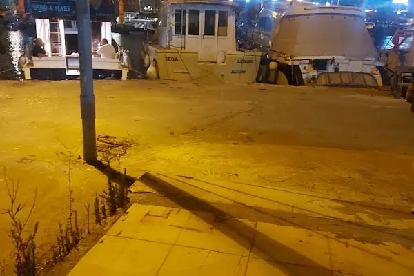Zeyport Liman İşletmeleri - Resim 20