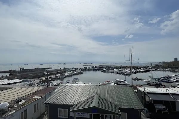 Zeyport Liman İşletmeleri - Resim 5