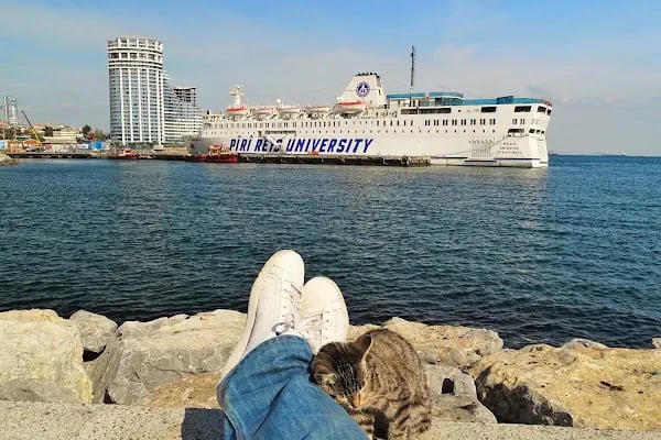 Zeyport Liman İşletmeleri - Resim 4