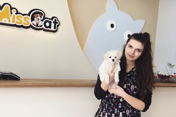 Miss Cat Veteriner Kliniği - Resim 1