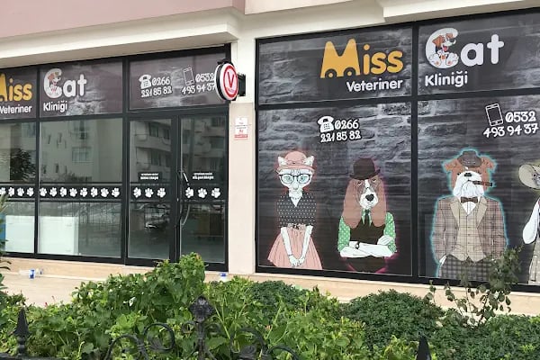 Miss Cat Veteriner Kliniği - Resim 2