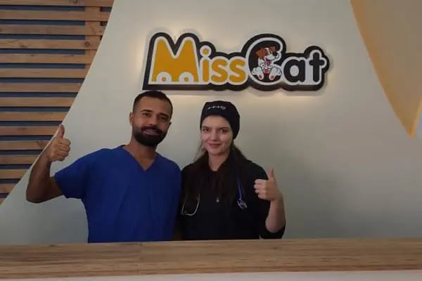 Miss Cat Veteriner Kliniği - Resim 15