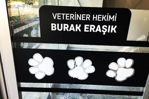 Miss Cat Veteriner Kliniği - Resim 18