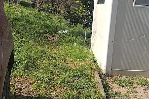 Bahçeşehir Tenis Kulübü - Resim 4