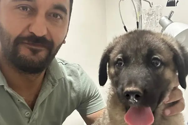 Akdeniz Veteriner Kliniği Gaziantep - Resim 20