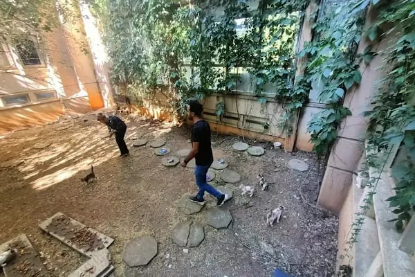 Akdeniz Veteriner Kliniği Gaziantep - Resim 16