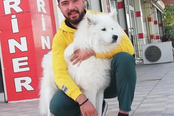 Akdeniz Veteriner Kliniği Gaziantep - Resim 13
