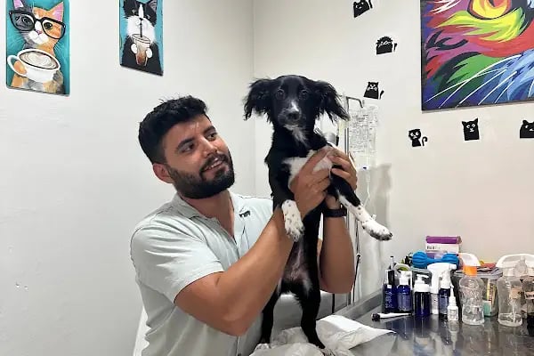 Akdeniz Veteriner Kliniği Gaziantep - Resim 19
