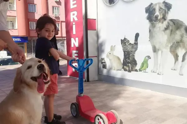 Akdeniz Veteriner Kliniği Gaziantep - Resim 14
