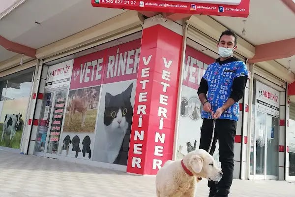 Akdeniz Veteriner Kliniği Gaziantep - Resim 7