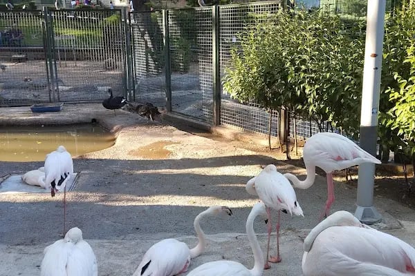 Mevlana Kır Bahçesi - Resim 2