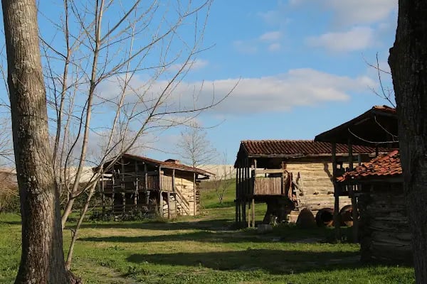 Aktopraklık Höyük Arkeopark Açık Hava Müzesi - Resim 20