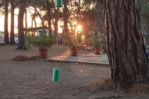 Elit Club Çesme Karavan & Çadır Camp - Resim 13