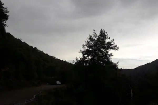 Manastır Balçova Terapi Ormanı - Resim 20