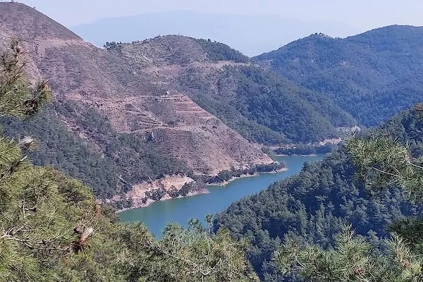 Manastır Balçova Terapi Ormanı - Resim 12