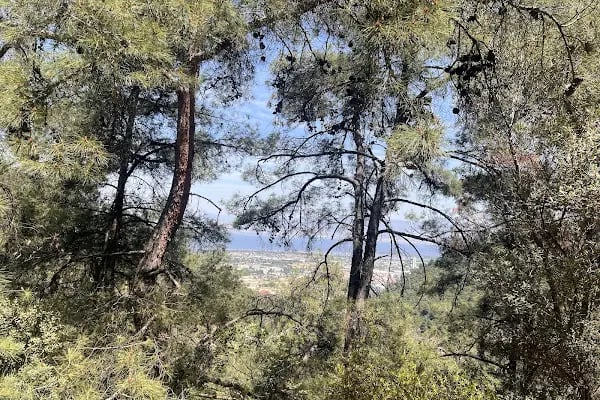 Manastır Balçova Terapi Ormanı - Resim 8