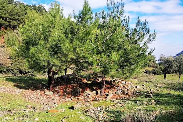 Manastır Balçova Terapi Ormanı - Resim 18