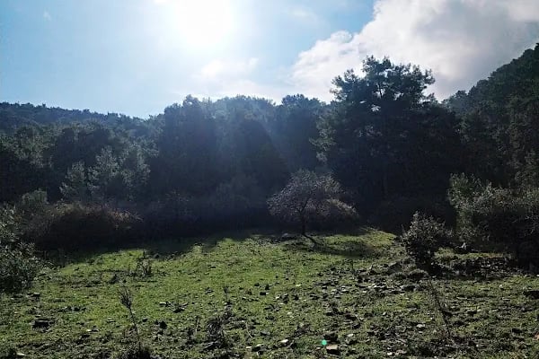 Manastır Balçova Terapi Ormanı - Resim 5