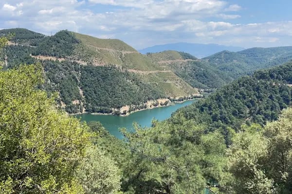 Manastır Balçova Terapi Ormanı - Resim 7