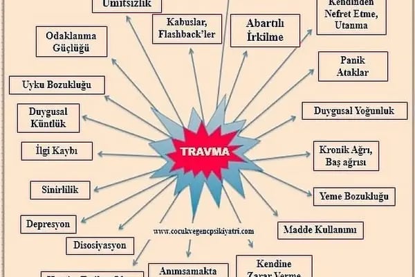 Diyarbakır Çocuk ve Genç Psikoloji Merkezi / Pedagoji / Psikolog / Psikiyatri - Resim 19