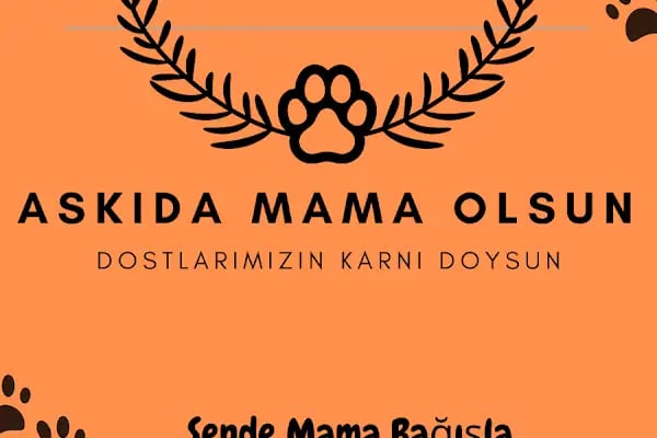 MADAM GODİ PETSHOP - Resim 19