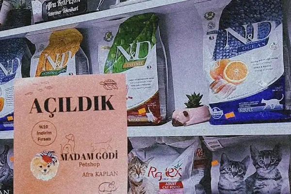 MADAM GODİ PETSHOP - Resim 8