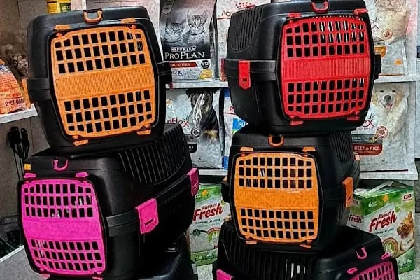 MADAM GODİ PETSHOP - Resim 6